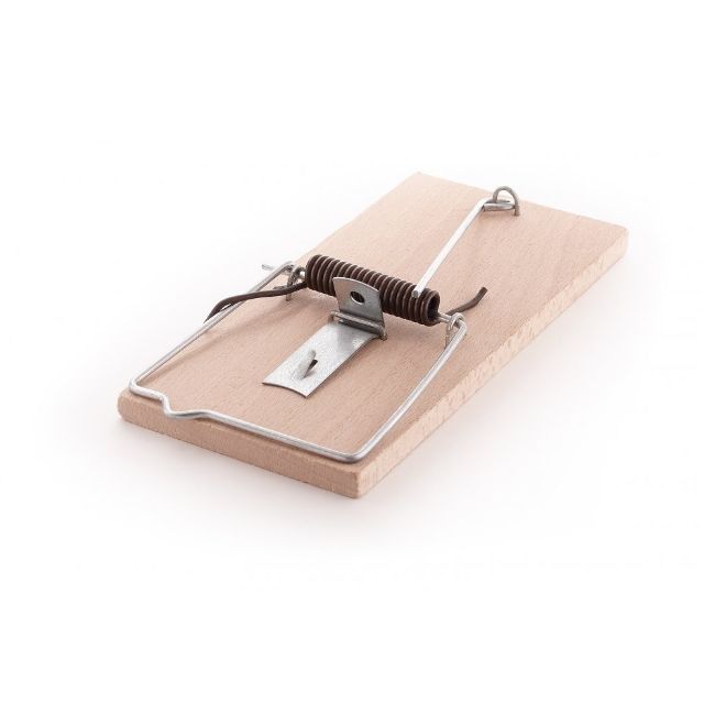 past na krysy buková