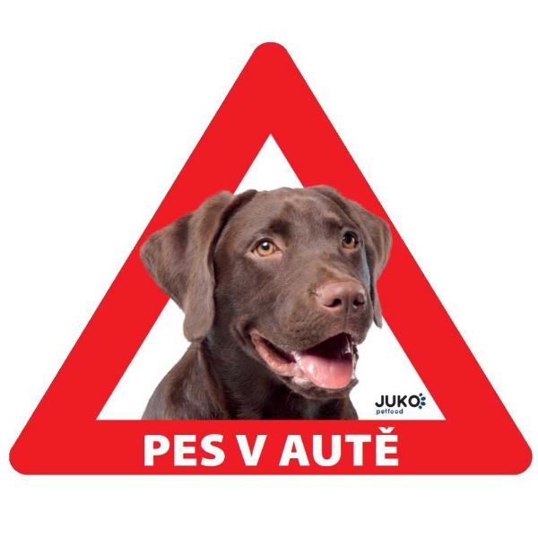 Obrázek Samolepka pes v autě venkovní LABRADOR HNĚDÝ