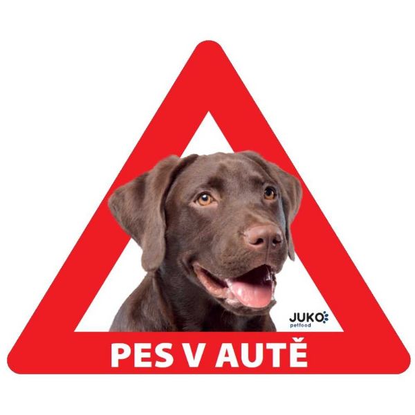 Obrázek Samolepka pes v autě vnitřní LABRADOR HNĚDÝ