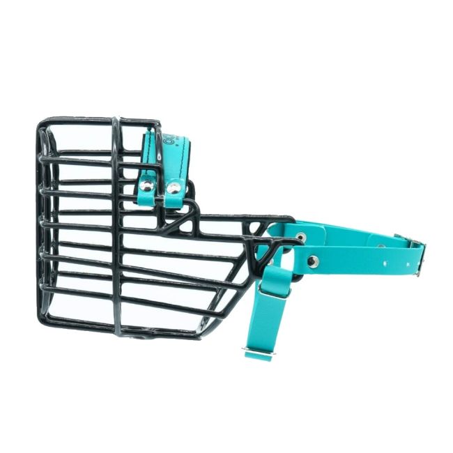 Náhubek černý/Biothane kokršpaněl, foxteriér fena s páskem pod krkem proti sundání náhubku z hlavy