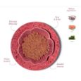 Obrázek z Amanova Cat Salmon & Turkey GF (P11), kapsička 85 g 