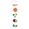 Obrázek z Amanova Cat Adult Rabbit & Pumpkin GF 6 kg 
