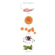 Obrázek z Amanova Dog Adult Mini Digestive Rabbit & Pumpkin GF 2 kg 