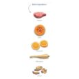 Obrázek z Amanova Dog Adult Sensitive Lamb & Pumpkin GF 10 kg 