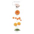 Obrázek z Amanova Cat Sterilised White Fish & Pumpkin GF 4 kg 