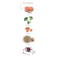 Obrázek z Amanova Cat Sterilised Salmon & Quinoa LG 1,5 kg 