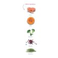 Obrázek z Amanova Dog Adult Mini Sensitive Salmon & Pumpkin GF 0,8 kg 