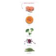 Obrázek z Amanova Dog Adult Sensitive Salmon & Pumpkin GF 2 kg 