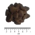 Obrázek z OPTIMAnova Dog Adult Digestive Rabbit & Potato GF 12 kg 
