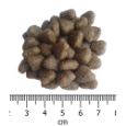 Obrázek z OPTIMAnova Dog Adult Mini Sensitive Salmon & Potato GF 2 kg 