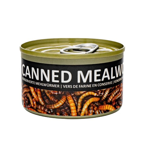 Obrázek Mouční červi, konzerva 35 g