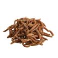 Obrázek z Mouční červi, konzerva 35 g 