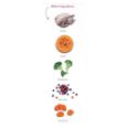 Obrázek z Amanova Cat Adult Turkey & Pumpkin GF 4 kg 