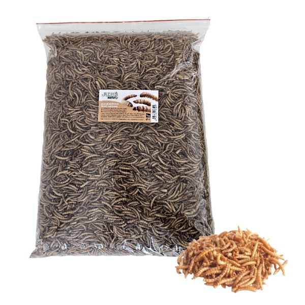 Obrázek Mouční červi JUKO 1 kg, sáček