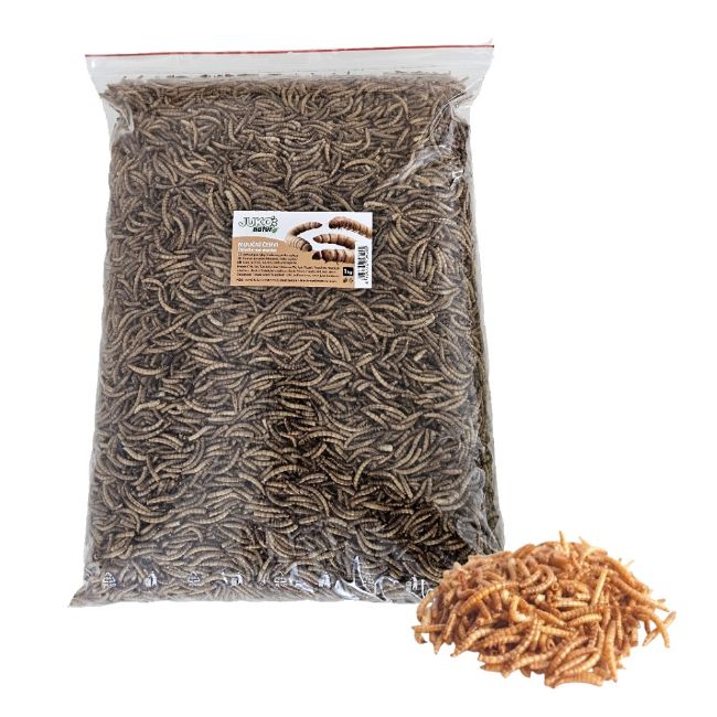 Mouční červi, sušení, krmivo pro ryby, ježky, ptactvo 1 kg sáček