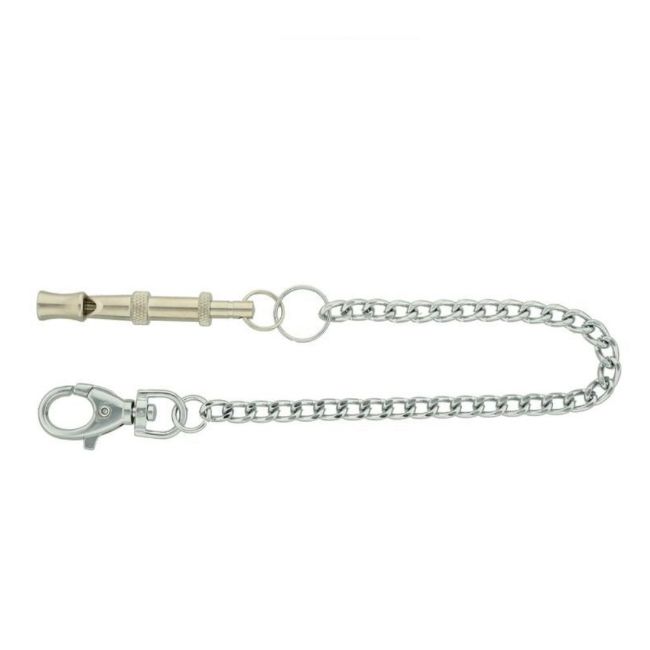 Píšťalka kovová s řetízkem a karabinou 6 cm