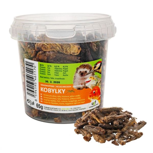 Obrázek Kobylky, kyblík 500 ml (65 g)