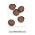 Obrázek z Amanova Cat Adult Rabbit & Pumpkin GF 4 kg 
