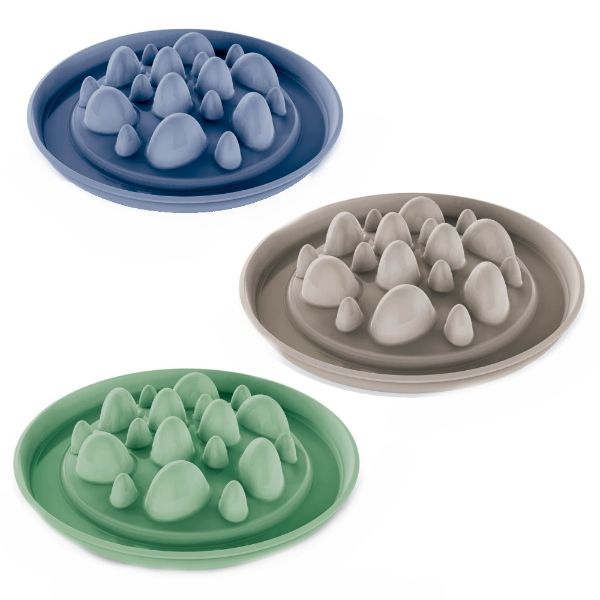 kaktus, proti hltání, lepší trávení, výstupky, miska